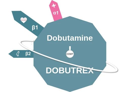 Dobutamine ballicule — decagon mechanism diagram