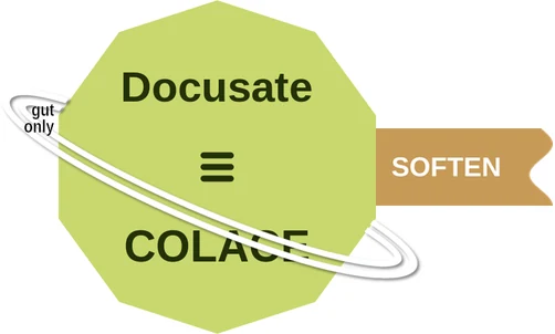 Docusate ballicule: receptor binding, kinetics and half-life diagram