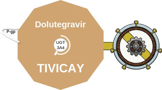 Dolutegravir ballicule: receptor binding, kinetics and half-life diagram
