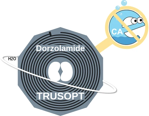 Dorzolamide ballicule — decagon mechanism diagram
