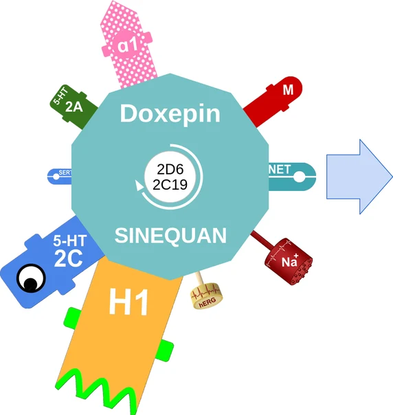 Doxepin ballicule: receptor binding, kinetics and half-life diagram