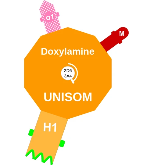 Doxylamine ballicule: receptor binding, kinetics and half-life diagram