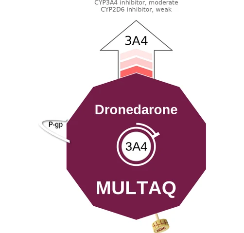 Dronedarone ballicule: receptor binding, kinetics and half-life diagram