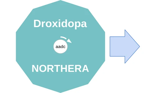 Droxidopa ballicule: receptor binding, kinetics and half-life diagram