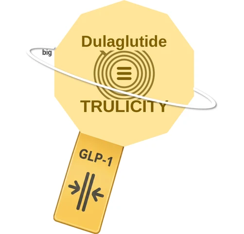 Dulaglutide ballicule: receptor binding, kinetics and half-life diagram