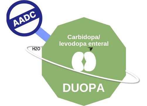 Carbidopa/ levodopa enteral ballicule: receptor binding, kinetics and half-life diagram