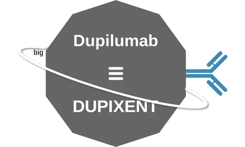 Dupilumab ballicule — decagon mechanism diagram
