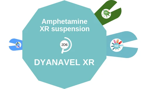 Amphetamine XR suspension ballicule: receptor binding, kinetics and half-life diagram