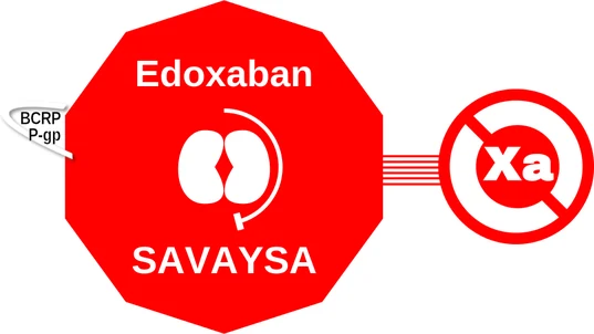 Edoxaban ballicule: receptor binding, kinetics and half-life diagram