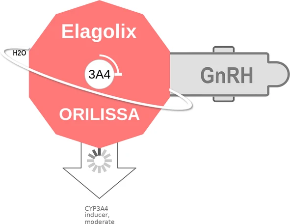 Elagolix ballicule: receptor binding, kinetics and half-life diagram