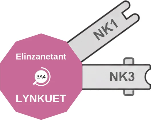 Elinzanetant ballicule: receptor binding, kinetics and half-life diagram