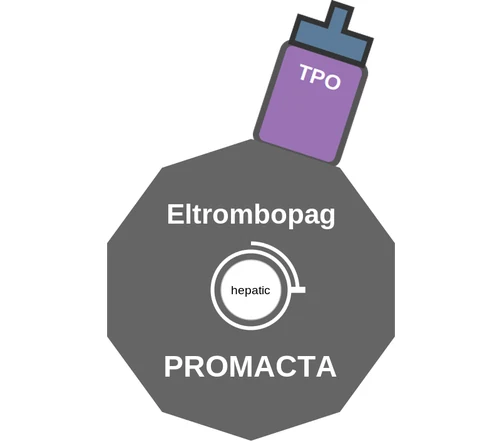 Eltrombopag ballicule: receptor binding, kinetics and half-life diagram