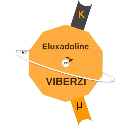 Eluxadoline ballicule: receptor binding, kinetics and half-life diagram