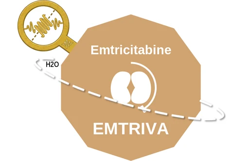 Emtricitabine ballicule: receptor binding, kinetics and half-life diagram