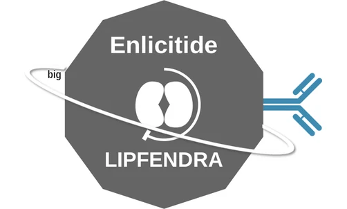 Enlicitide ballicule: receptor binding, kinetics and half-life diagram