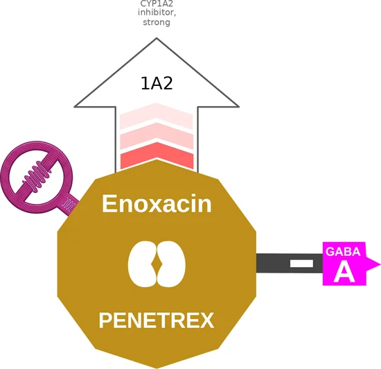 Enoxacin ballicule — decagon mechanism diagram