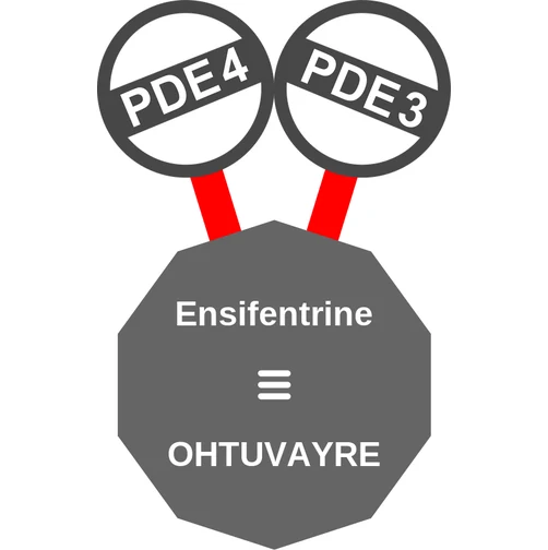 Ensifentrine ballicule: receptor binding, kinetics and half-life diagram