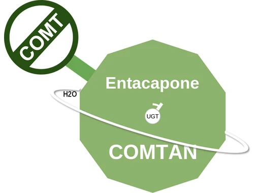 Entacapone ballicule: receptor binding, kinetics and half-life diagram