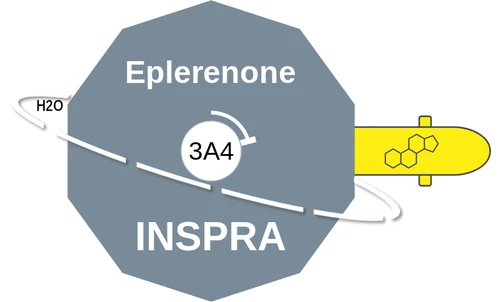 Eplerenone ballicule: receptor binding, kinetics and half-life diagram