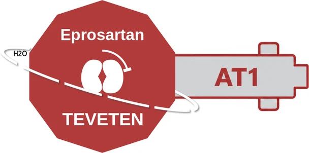 Eprosartan ballicule — decagon mechanism diagram