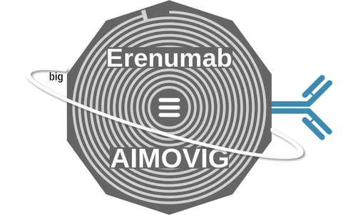 Erenumab ballicule — decagon mechanism diagram