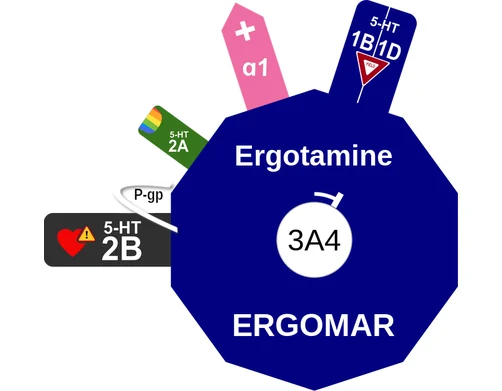 Ergotamine ballicule: receptor binding, kinetics and half-life diagram