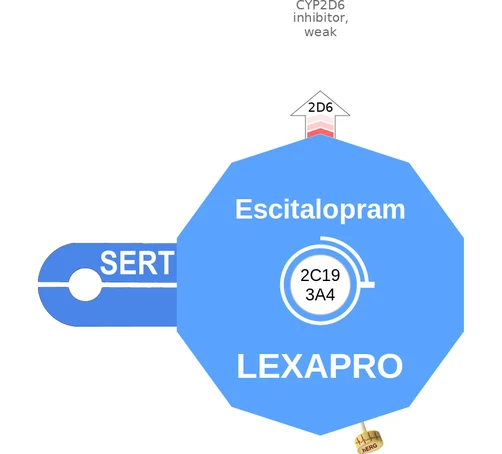 Escitalopram ballicule — decagon mechanism diagram