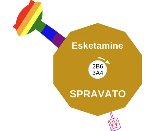 Esketamine ballicule: receptor binding, kinetics and half-life diagram