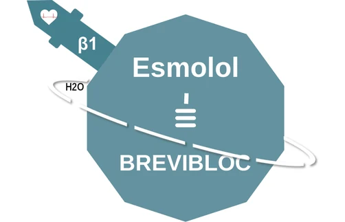 Esmolol ballicule: receptor binding, kinetics and half-life diagram