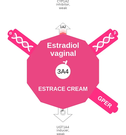 Estradiol vaginal ballicule — decagon diagram of its receptor and enzyme targets