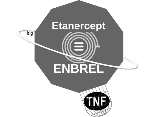Etanercept ballicule: receptor binding, kinetics and half-life diagram