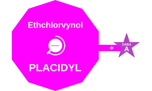 Ethchlorvynol ballicule: receptor binding, kinetics and half-life diagram
