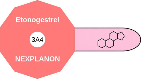 Etonogestrel ballicule — decagon mechanism diagram