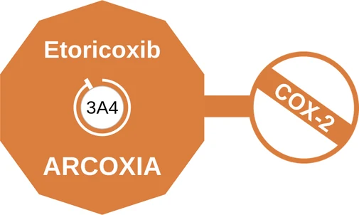 Etoricoxib ballicule: receptor binding, kinetics and half-life diagram