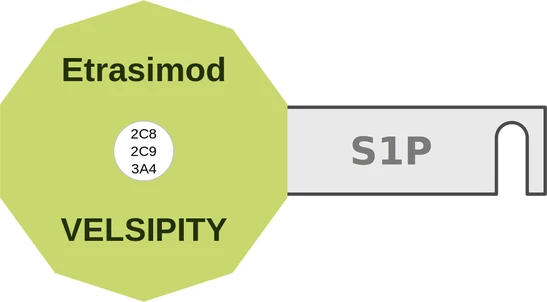 Etrasimod ballicule: receptor binding, kinetics and half-life diagram