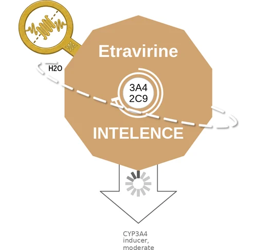 Etravirine ballicule — decagon mechanism diagram