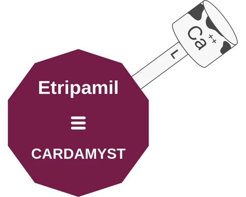 Etripamil ballicule — decagon mechanism diagram