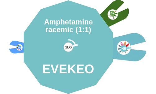 Amphetamine racemic (1:1) ballicule: receptor binding, kinetics and half-life diagram