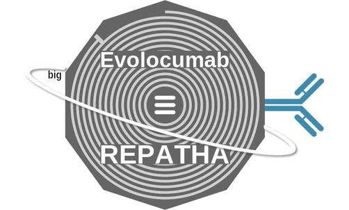 Evolocumab ballicule: receptor binding, kinetics and half-life diagram