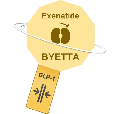 Exenatide ballicule: receptor binding, kinetics and half-life diagram