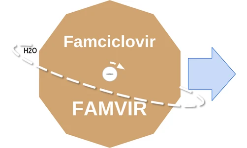 Famciclovir ballicule — decagon mechanism diagram