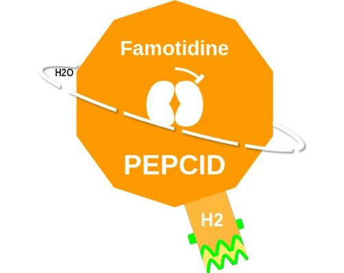 Famotidine ballicule: receptor binding, kinetics and half-life diagram