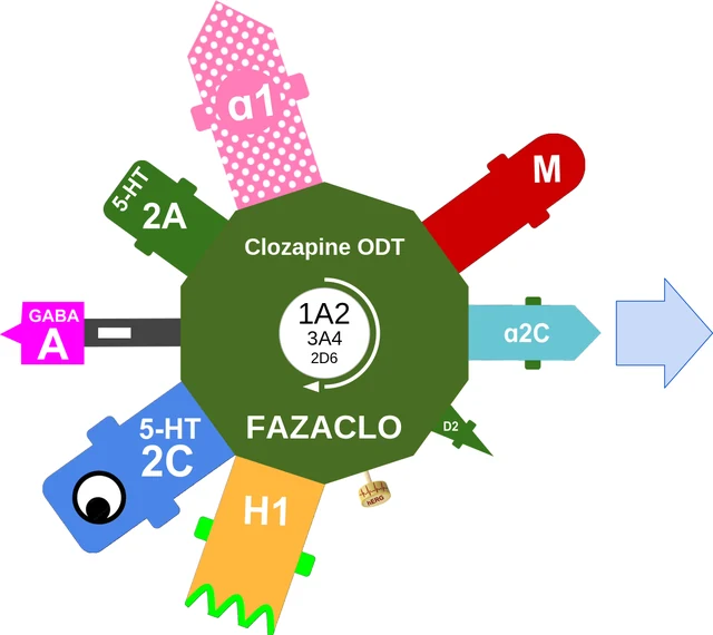 Clozapine ODT ballicule: receptor binding, kinetics and half-life diagram