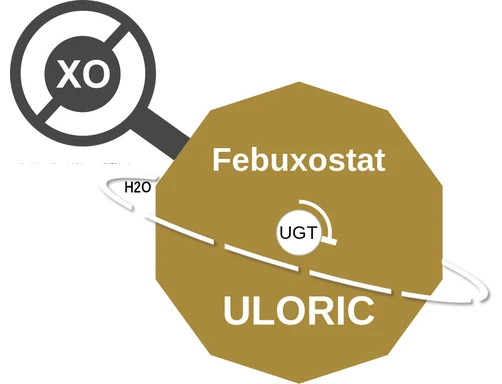 Febuxostat ballicule: receptor binding, kinetics and half-life diagram