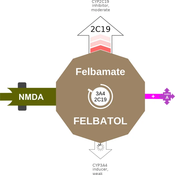 Felbamate ballicule: receptor binding, kinetics and half-life diagram