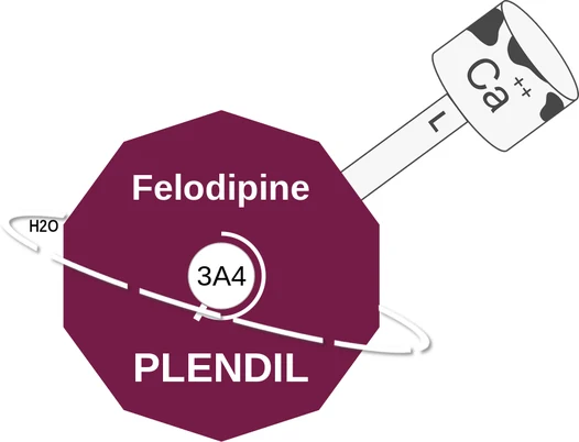 Felodipine ballicule — decagon mechanism diagram