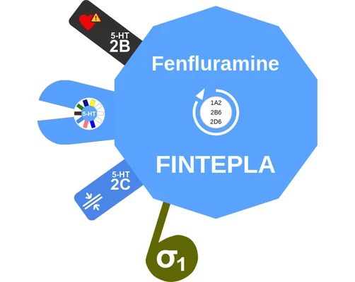 Fenfluramine ballicule: receptor binding, kinetics and half-life diagram