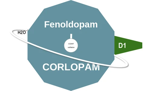 Fenoldopam ballicule — decagon mechanism diagram
