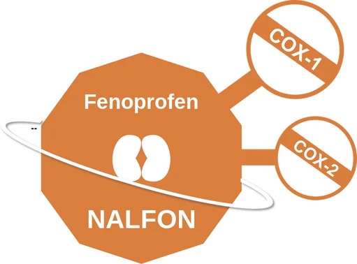 Fenoprofen ballicule: receptor binding, kinetics and half-life diagram