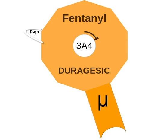 Fentanyl ballicule: receptor binding, kinetics and half-life diagram